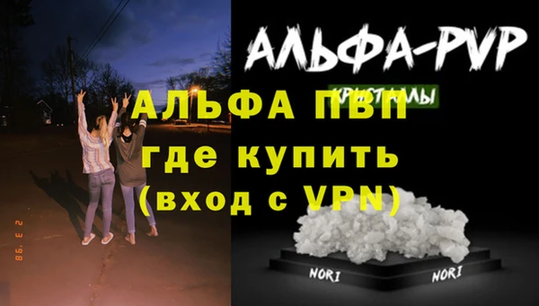 сатива Гусев
