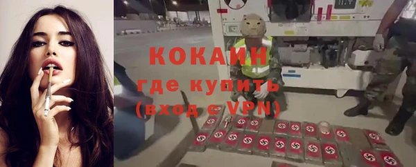 сатива Гусев