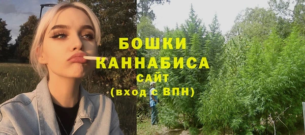 альфа пвп Гусиноозёрск