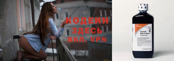 эйфоретик Гусь-Хрустальный