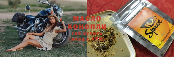 эйфоретик Гусь-Хрустальный